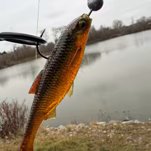 Předvánoční pozdrav od vody 29. díl