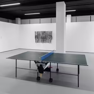 DUÚL: Strategies of Success(Juraj Čarný)