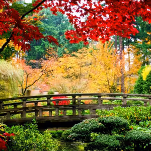 Dopoludnie na Infovojne s Adrianom 3.4.2025