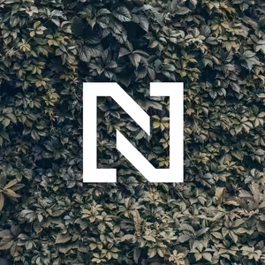 Mindfulness. Jak si užít i umývání nádobí