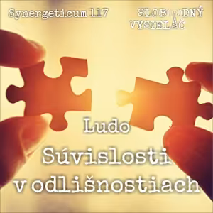 Synergeticum 117 - 2022-09-27 Súvislosti v odlišnostiach