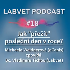 Jak „přežít“ poslední den v roce?