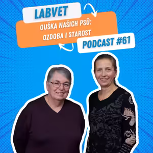 LABVET Podcast #61 - Ouška našich psů - ozdoba i starost