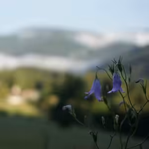 Piatok po 3. veľkonočnej nedeli