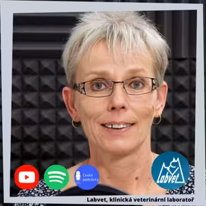 Něco málo o fyzioterapii pro psy