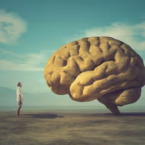 Črevo a mozog #8 Ženské telo, pôrod, vývoj mozgu a ketóza