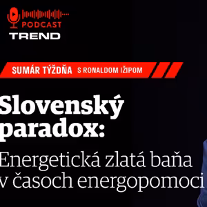 Slovenská konformita v praxi: Energetická zlatá baňa v časoch masívnej energopomoci