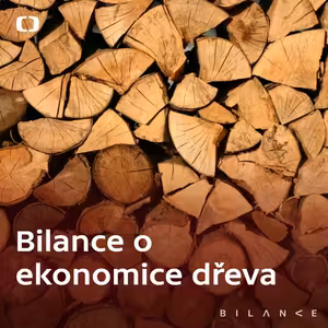 Dřevo je české zlato, ale neumíme ho dobře vytěžit