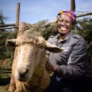 Hemendex poslal do Kene sliepky