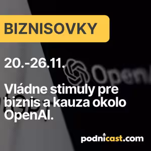 43. BIZNISOVKY: Vládne stimuly pre biznis a kauza okolo OpenAI.