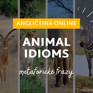 Animal idioms | Slovná zásoba pre úroveň B2 | ANGLIČTINA
