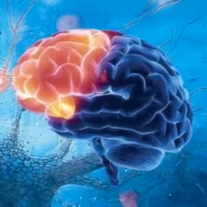 Týden mozku 2026: Jak restartovat náš nejsložitější orgán a co mu dnes škodí nejvíce?