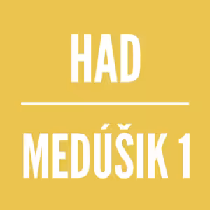 MEDÚŠIK 1 | HAD