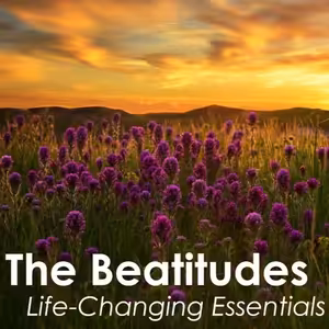 Proměňující blahoslavenství (4. mezidobí Cheb)