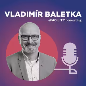 Vladimír Baletka, eFACILITY consulting
