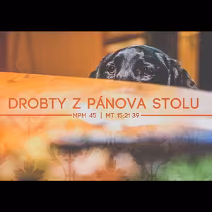 Mesiáš podle Matouše 45 - Drobty z Pánova stolu - Bohuslav Wojnar (21.10.2013)