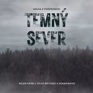 Temný sever