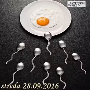 Verejné tajomstvá 52 - 2016-09-28 Zdravá strava 38/2016