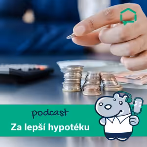 38. Jaké příjmy se počítají do hypotéky