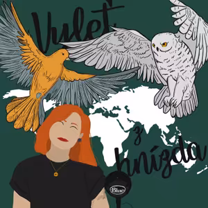 #Trailer | Klára Fafejtová: "Když chce jít Švéd ve Švédsku na švédské jídlo, tak musí do IKEA." 🇸🇪