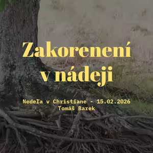Zakorenení v nádeji - Tomáš Barek