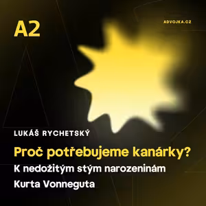 Lukáš Rychetský: Proč potřebujeme kanárky?