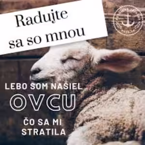 Modlitba online: Radosť v nebi z povolania nedokonalého, odvážneho kresťana.