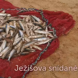 Ježíšová snídaně - Aleš Cichy (10.3.2019)