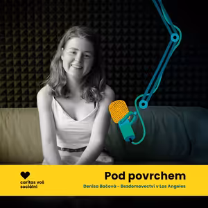 V USA neziskové organizace nahrazují pomoc státu - Denisa Bačová