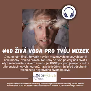 #60 BDNF / Mozek, Synaptická plasticita, Neurony, Mentální výkonnost, Nervové buňky, Učení, Paměť, Soustředění, OPC, Působení stresu, Resveratrol, Kvercetin, Quercetin, Ginkgo, Deprese
