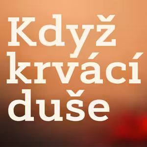 BRATRŮM A SESTRÁM ZA ZDÍ