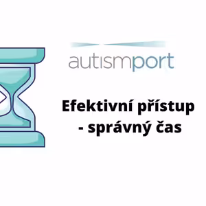 Efektivní Přístup - Správný Čas