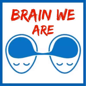 163: Levný Dopamin, Vzrušení, Psychologie Vztahů a Existenciální Štěstí