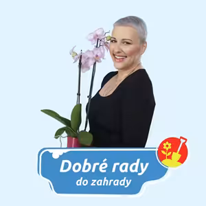 DOBRÉ RADY DO ZAHRADY NA RÁDIU BLANÍK-Staré dveře nemusí do sběru
