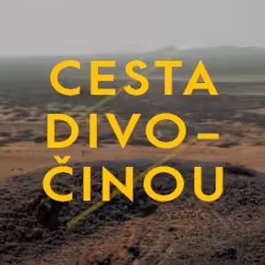 Víťaz! – Cesta divočinou 8 (Víkendovka 2021)