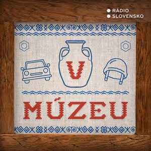 V múzeu