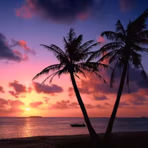 Dopoludnie na Infovojne s Adrianom 29.7.2025