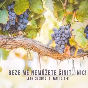 Letnice 2015 - Beze mě nemůžete činit… nic! - Bohuslav Wojnar (24.5.2015)