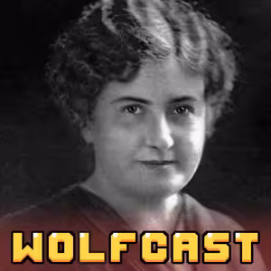 Wolfcast 104: Generační příprava – jak se IT učí a jak se inkorporuje ve společnosti? 4