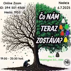 Čo nám teraz zostáva? - Ray P. (Washington, USA) - 6. 7. 2025