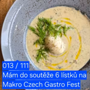 013 měl jsem pro lístky na Makro Czech Gastro Fest (byl to fofr)