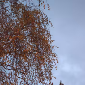 15.12 Ticho pochádza od Boha