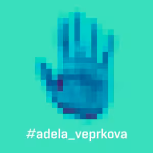 Zz4.p, e3. ADÉLA VEPŘKOVÁ