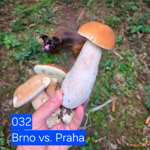 032 Brno vs. Praha