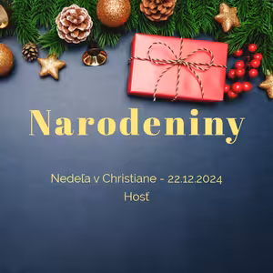 Narodeniny - Hosť