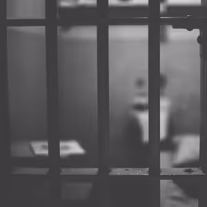 Zátiší 29/11/2023-11: Lenka Ouředníčková