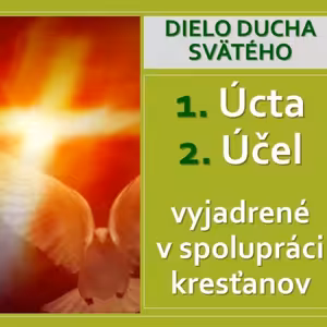 Spolupráca kresťanov