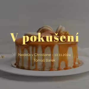 V pokušení 2/2 - Tomáš Barek