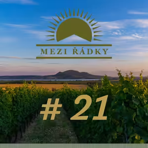 #21 O vinařském snu, který se stal skutečností s Dominikou z vinařství Plenér