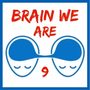 9: Opičí Mysl a Meditace